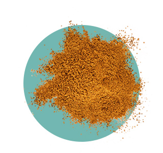 Ubidécarénone (Coenzyme Q10)