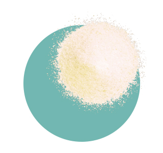 Hydrolysat de collagène de type II breveté Cartidyss® (poisson)