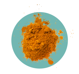 Le fer, le cuivre, le manganèse, la vitamine C, les vitamines B1, B5, B8 et B12