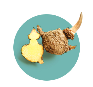 Glucomannane de konjac