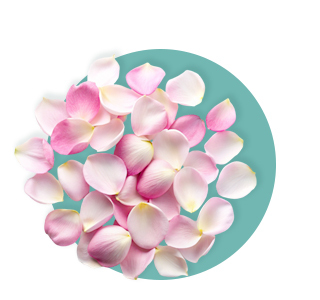 Parfum doux poudré floral